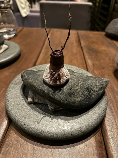 Boragó - Image 1