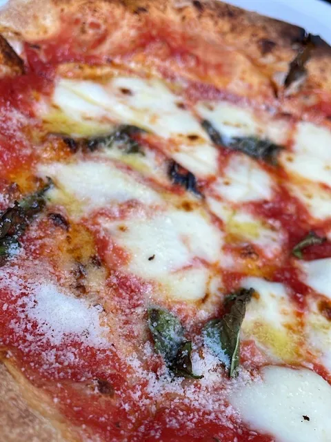 Gusto 101 - Image 1