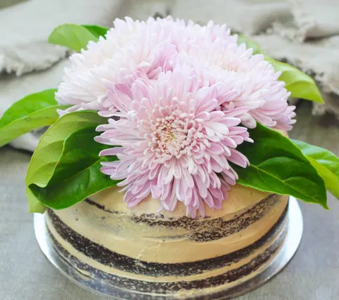 Jocelyn’s Provisions - Image 1