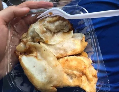 Qingdao Fried Dumpling - Image 1