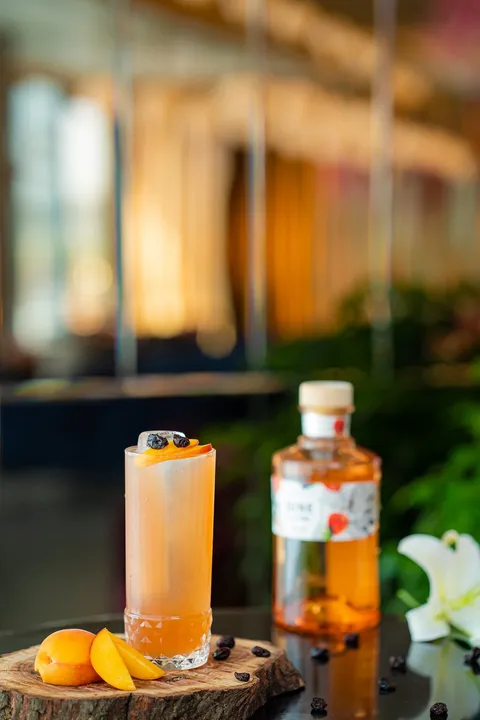 Asilo Pune - Image 1