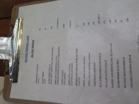 Triveni Terrace Cafe - Image 1
