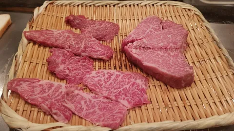 Hakushu - Kobe Teppanyaki - Image 1