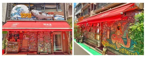 Kaikaya - Image 1