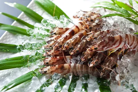 Teppanyaki Akasaka - Image 1
