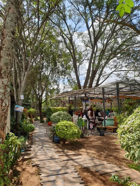 Pallet Cafe - Image 1