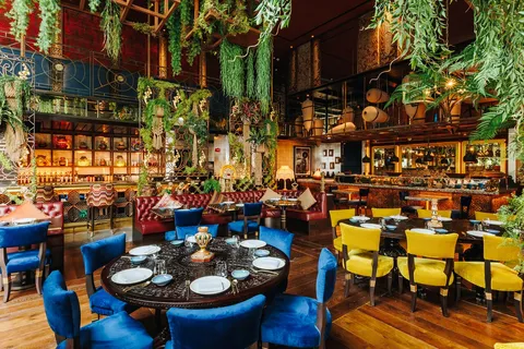 Coya - Image 1